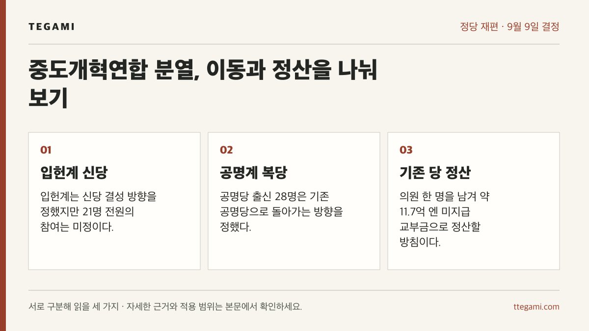 중도개혁연합의 입헌계 신당 방향, 공명계 복당 방향, 기존 당에서 맡을 비용 정산을 나눈 세 항목
